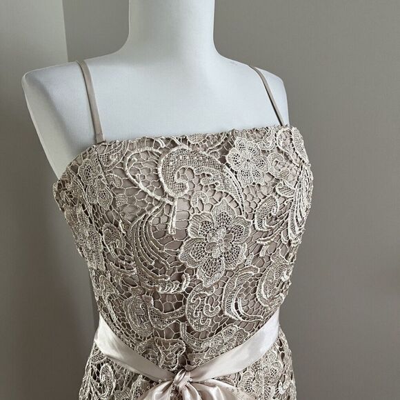 Cache vintage Dress 12 Beige Lace Strapless Convertible Party Cocktail Wedding - Picture 9 of 14